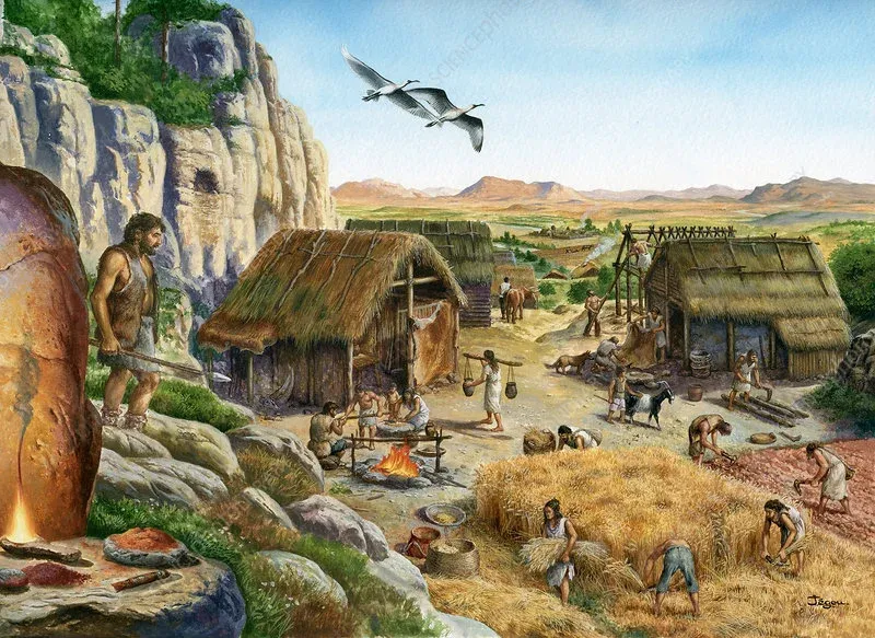 5. Neolithic Period