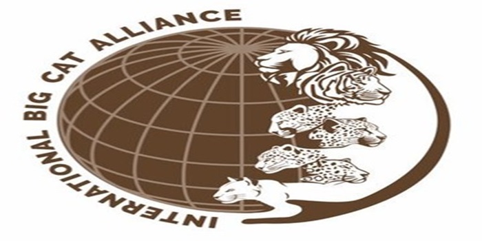 International Big Cat Alliance (IBCA) Becomes a Full-Fledged Treaty-Based Inter-Governmental Organization